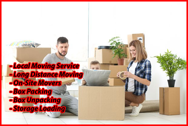 Packers And Movers Noida Sector 51